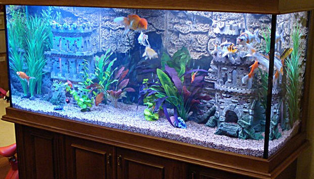 Водное царство: декорируем аквариум